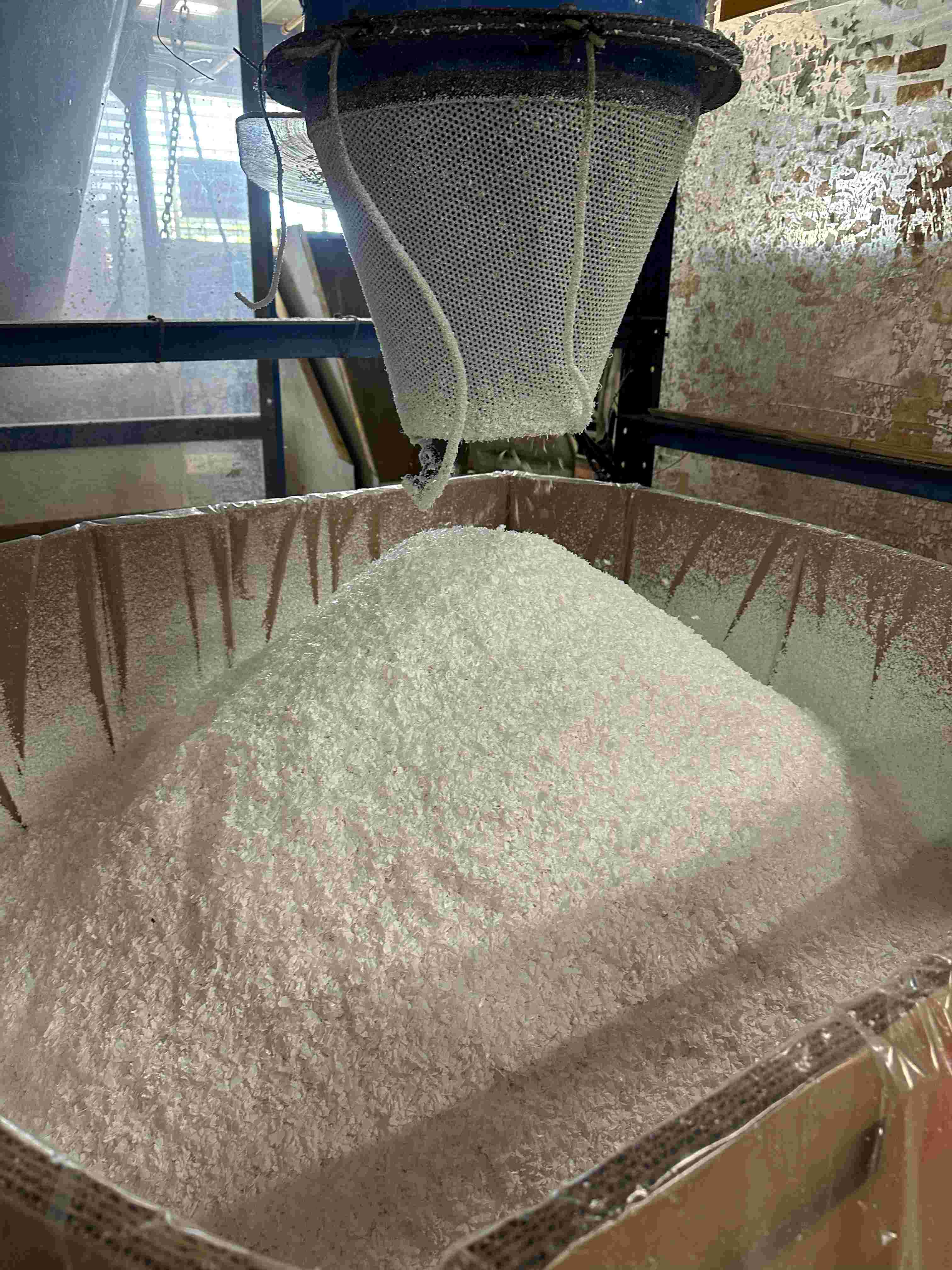 Caribe Processing